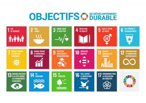 Les 17 objectifs du développement durable de l’ONU
